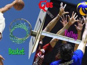 basket-volley