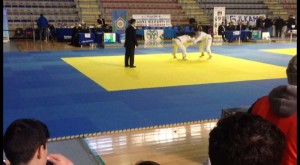 MR JUDO (3)