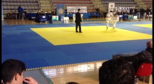 MR JUDO (4)